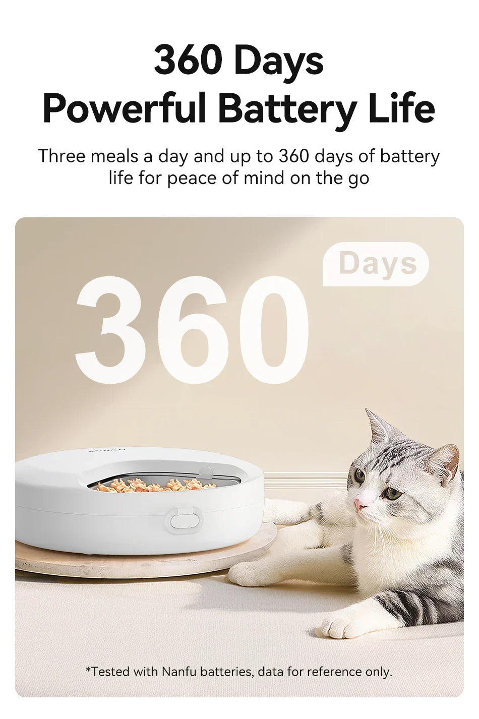 Food Dispenser For Cats