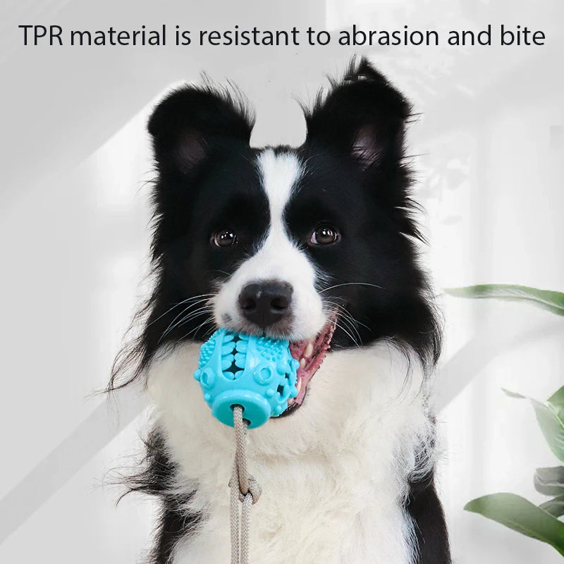 CozyPaws Suction Tug Toy with Chew Ball