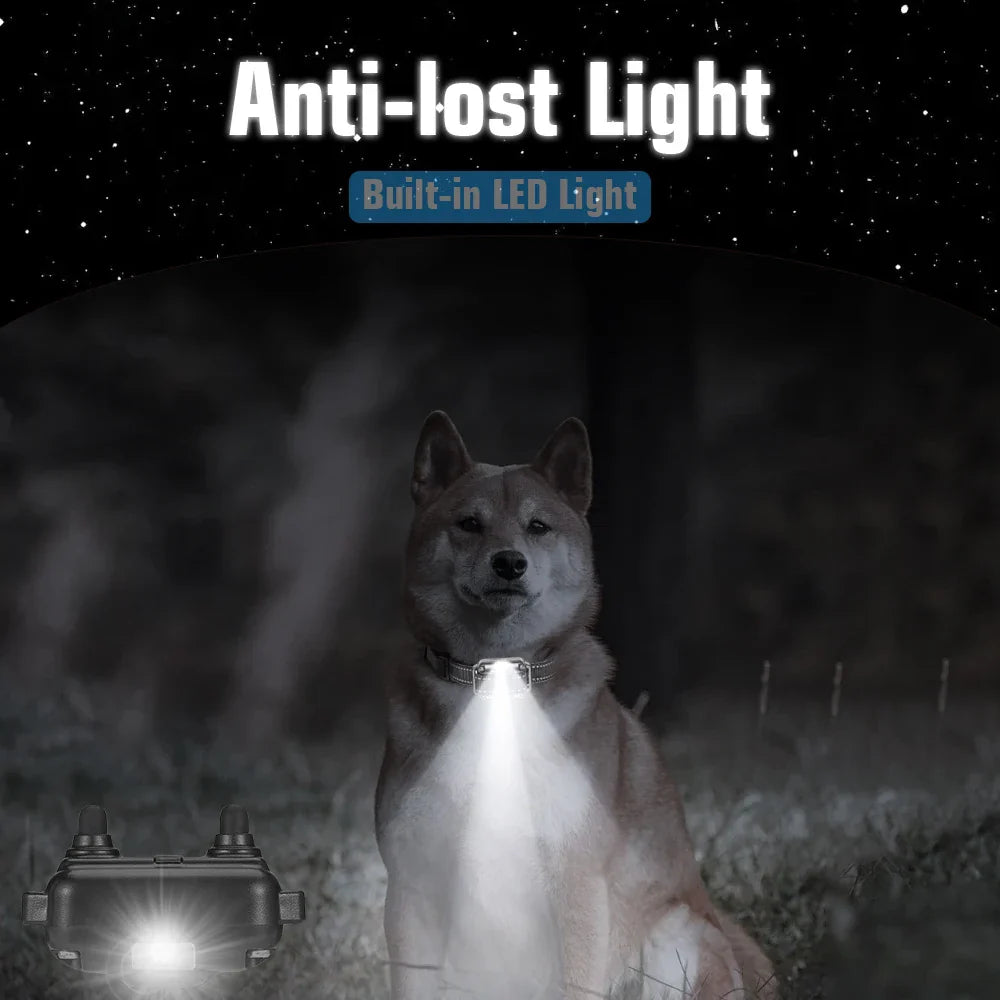 Dog Training Collar