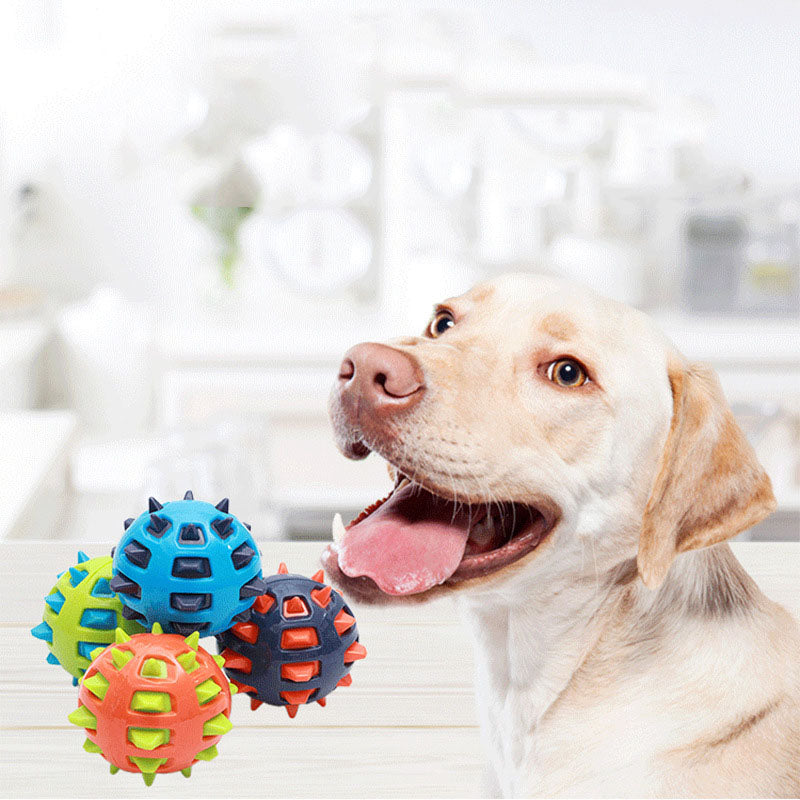 ChewyPaws Dog Ball – TPR Molar Toy