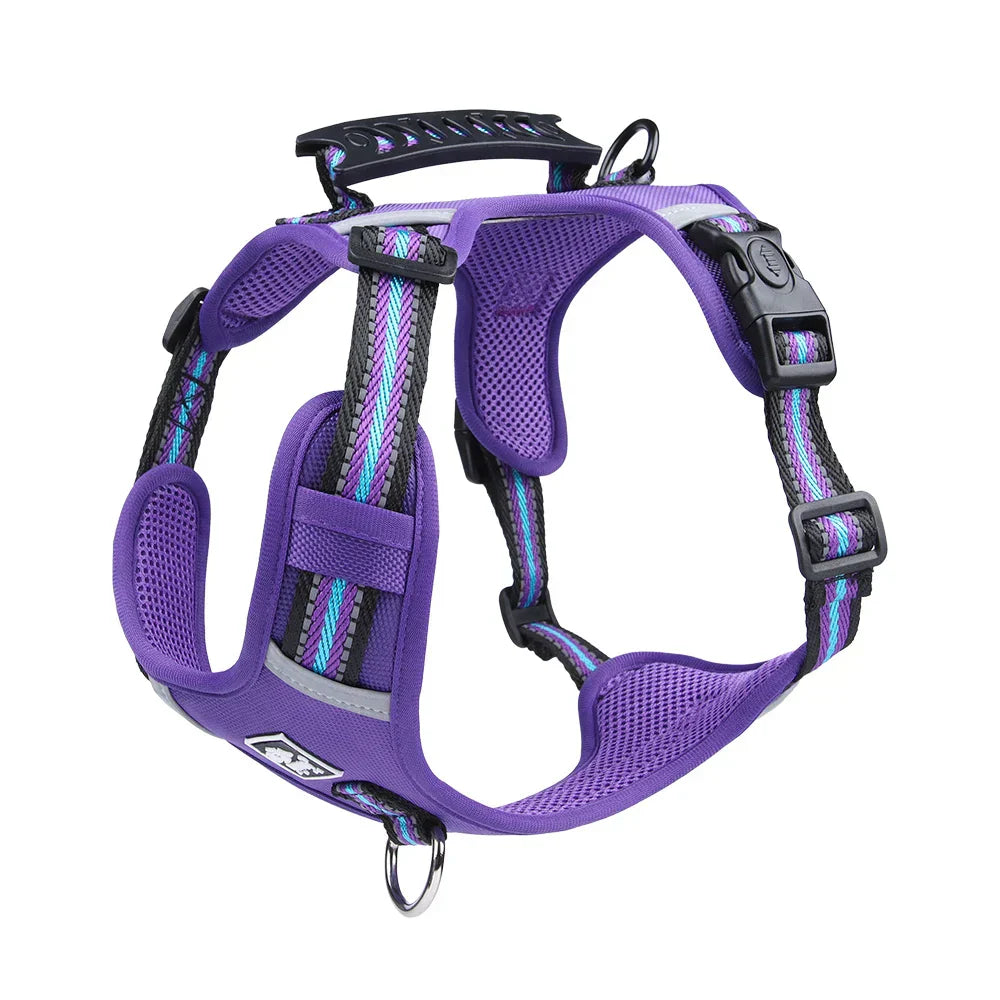 Travel Dog Harness & Lead