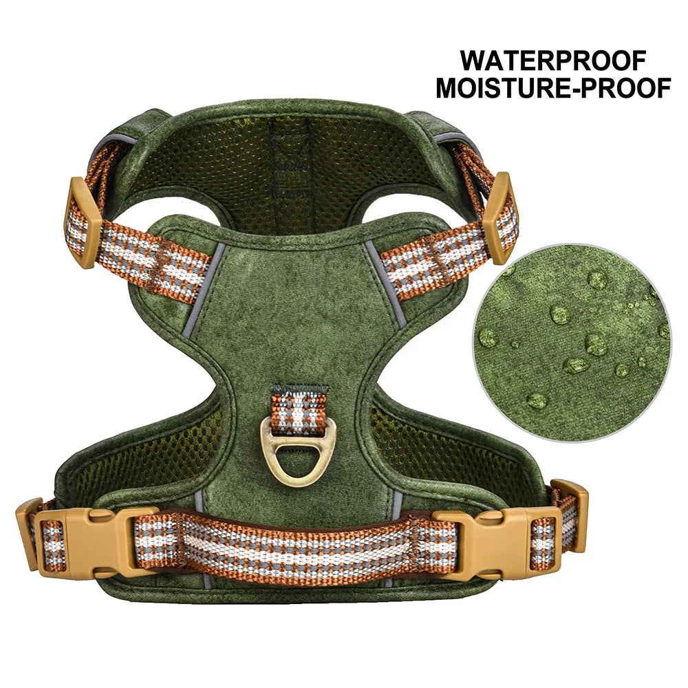 Dog Harness