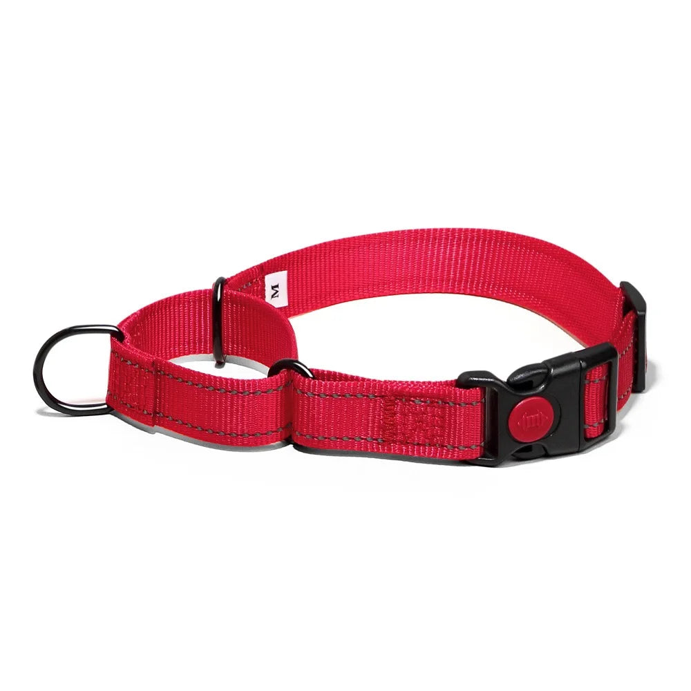 Adjustable Nylon Dog Collar with Safety Lock (2-in-1 Chain)