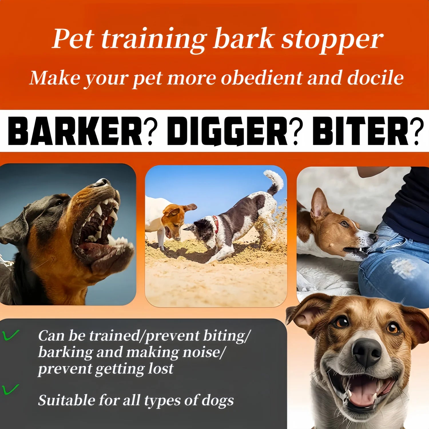 Anti-Bark Training Collar for Dogs