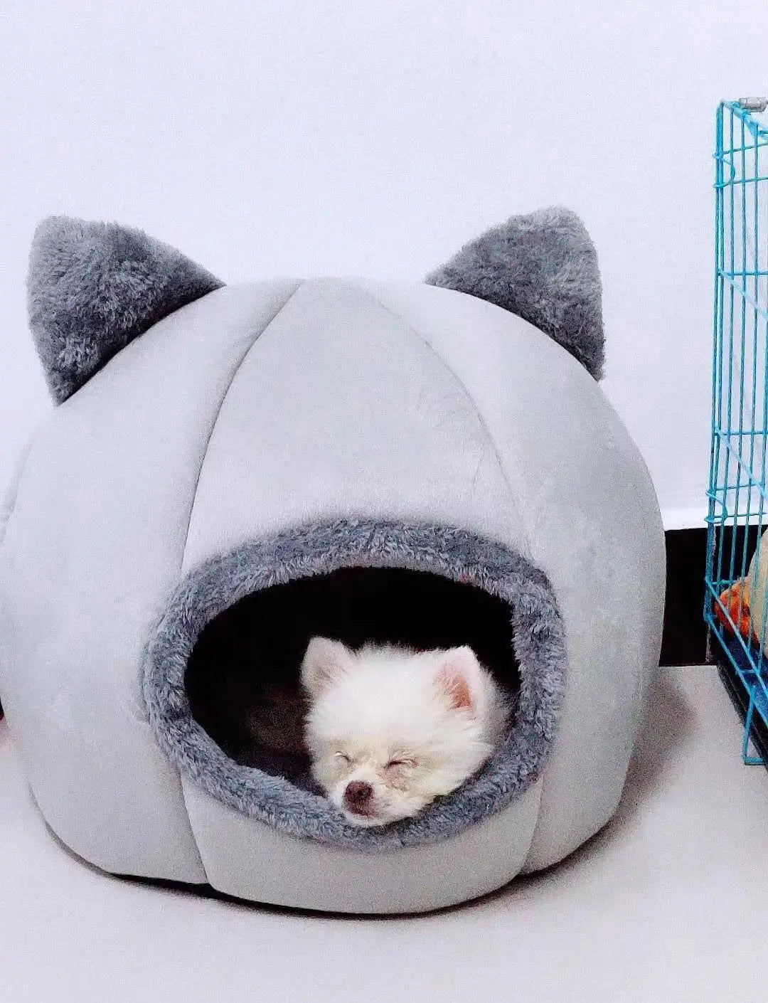 🛏️ CozyPet Tent Bed – Self-Warming Hideaway for Cats & Small Dogs