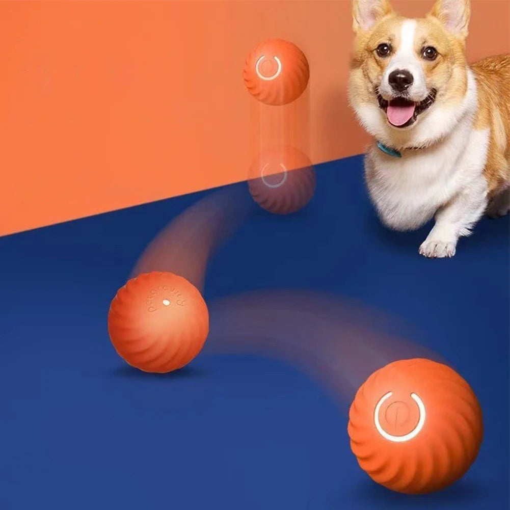 BounceBuddy™ Interactive Pet Ball