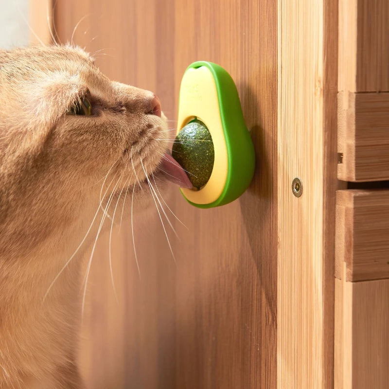 Catnip Wall Ball – Rotatable Stick-On Toy
