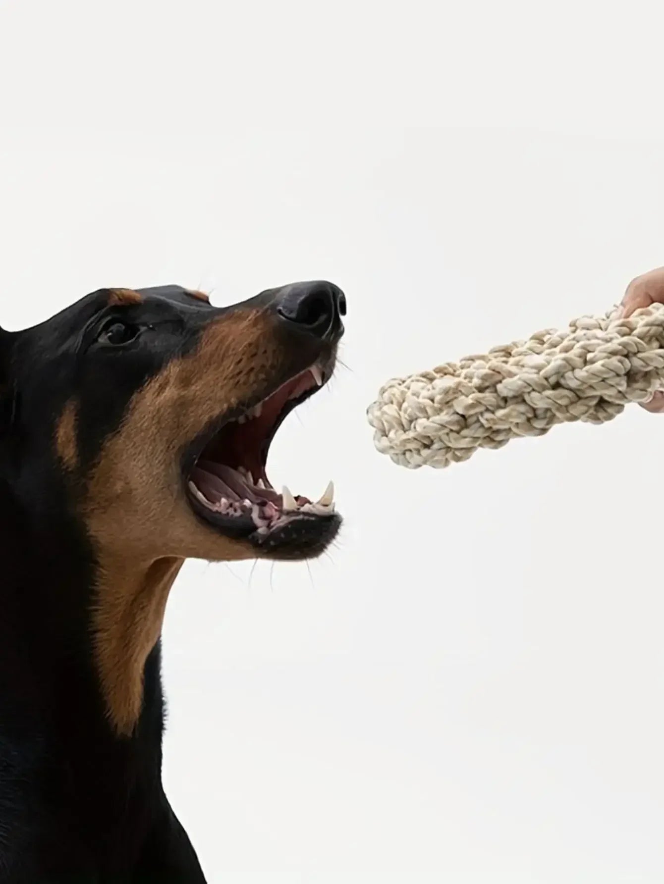 Durable Dog Rope Toy