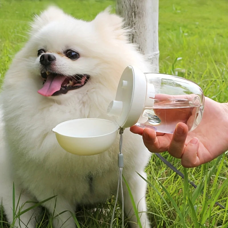 Portable Pet Water Feeder