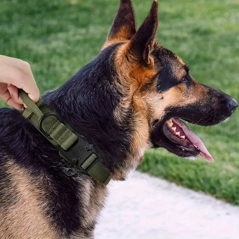 🐕 Tactical Dog Collar with Handle
