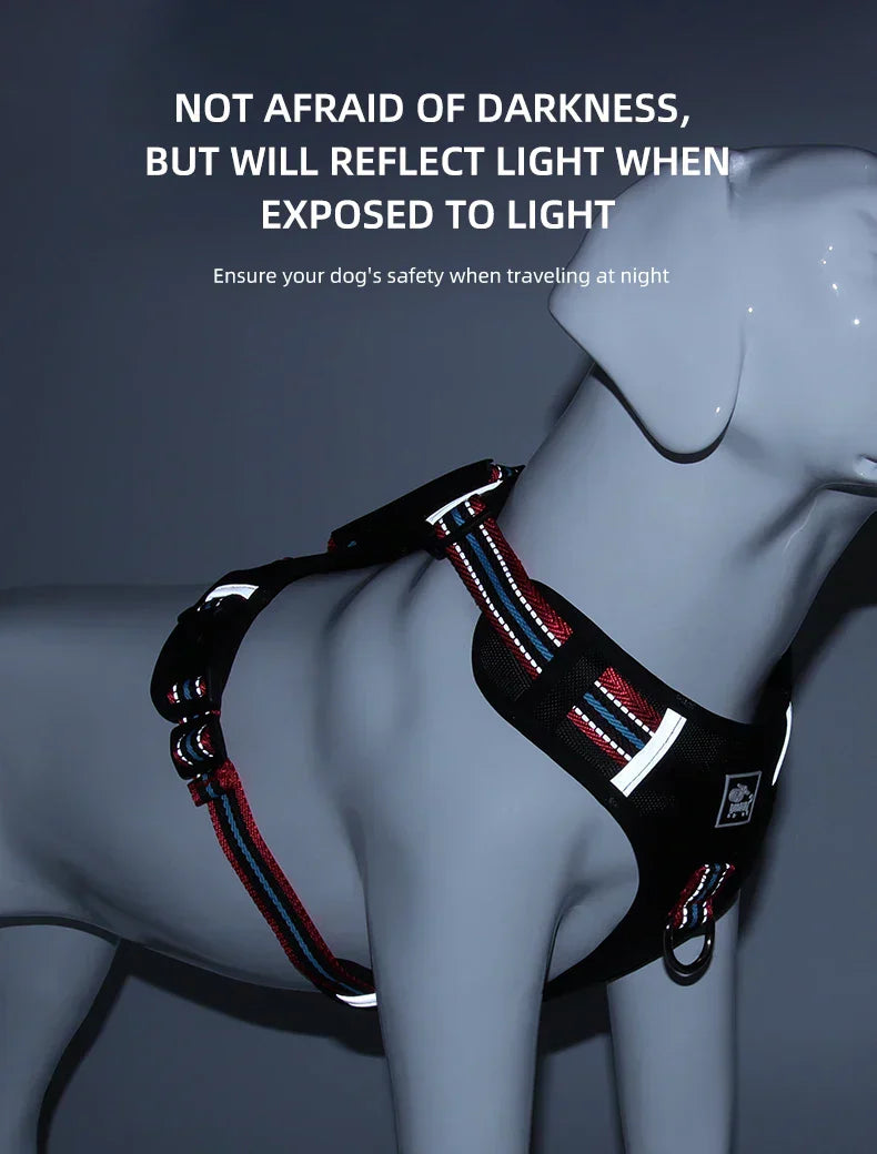 Travel Dog Harness & Lead