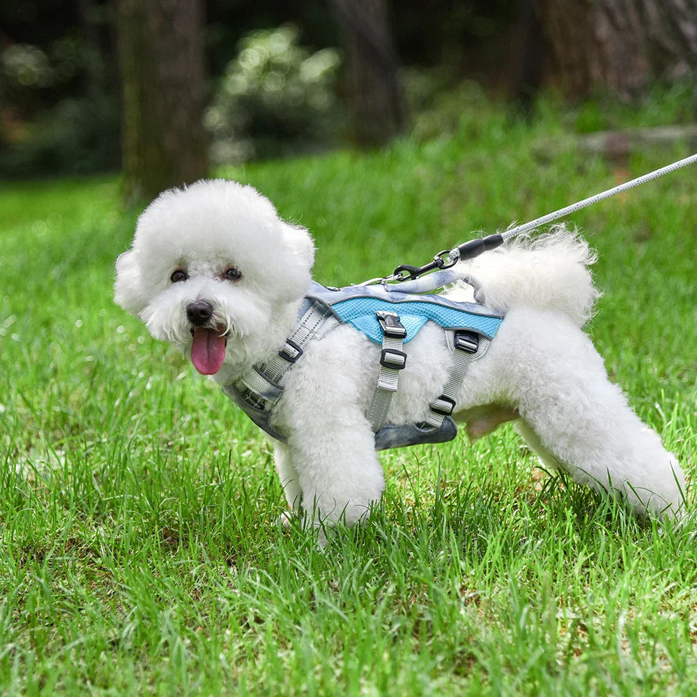 Adjustable Dog Vest