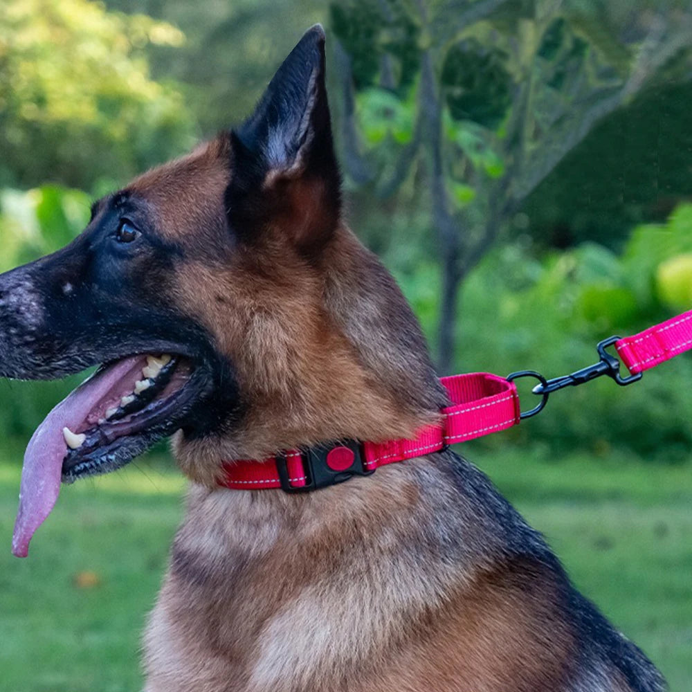 Adjustable Nylon Dog Collar with Safety Lock (2-in-1 Chain)