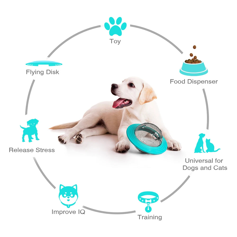 Slow Feed Interactive Dog Toy