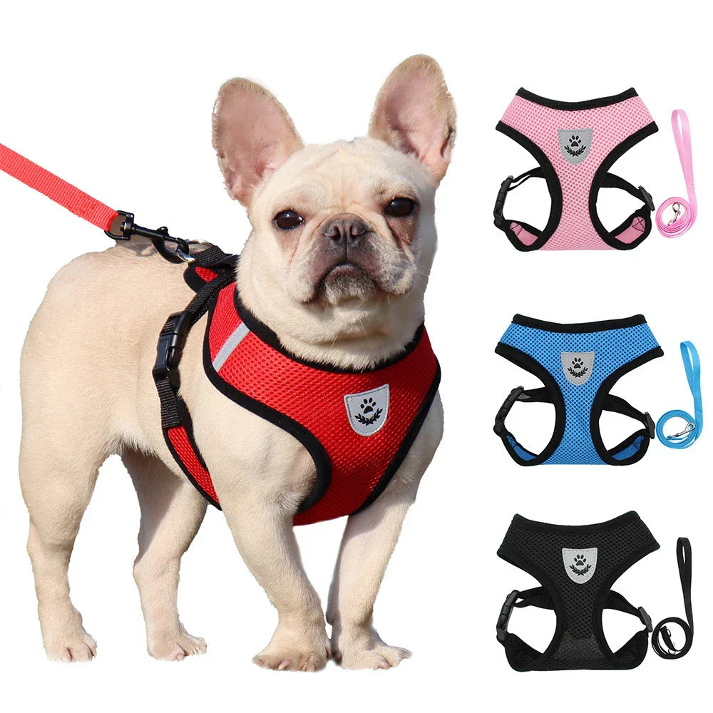 Dog Harnesses