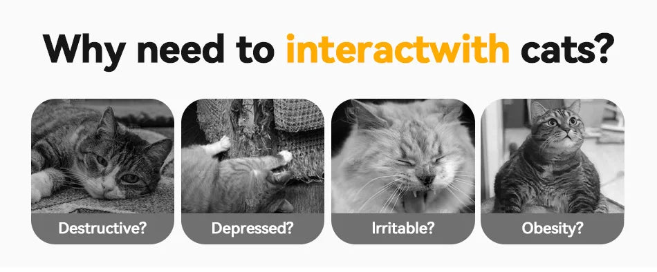 ROJECO Smart Cat Toy