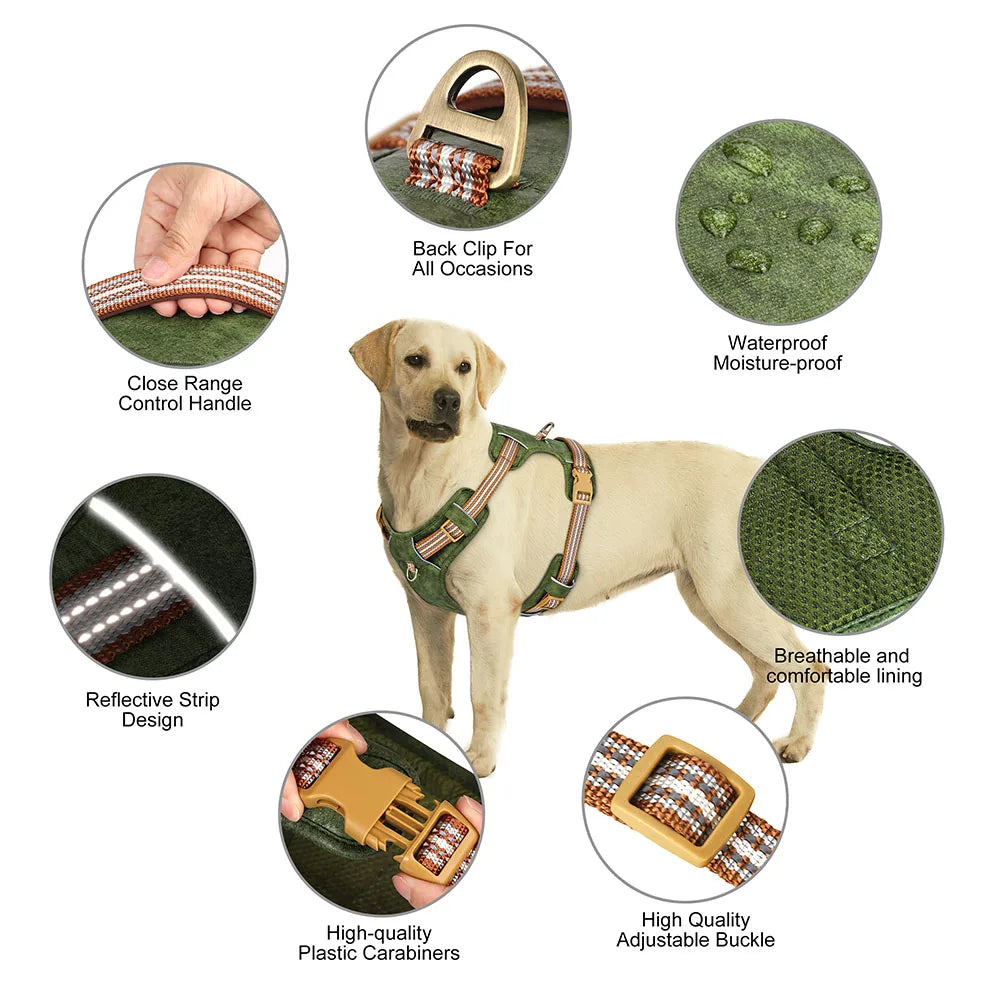 Dog Harness