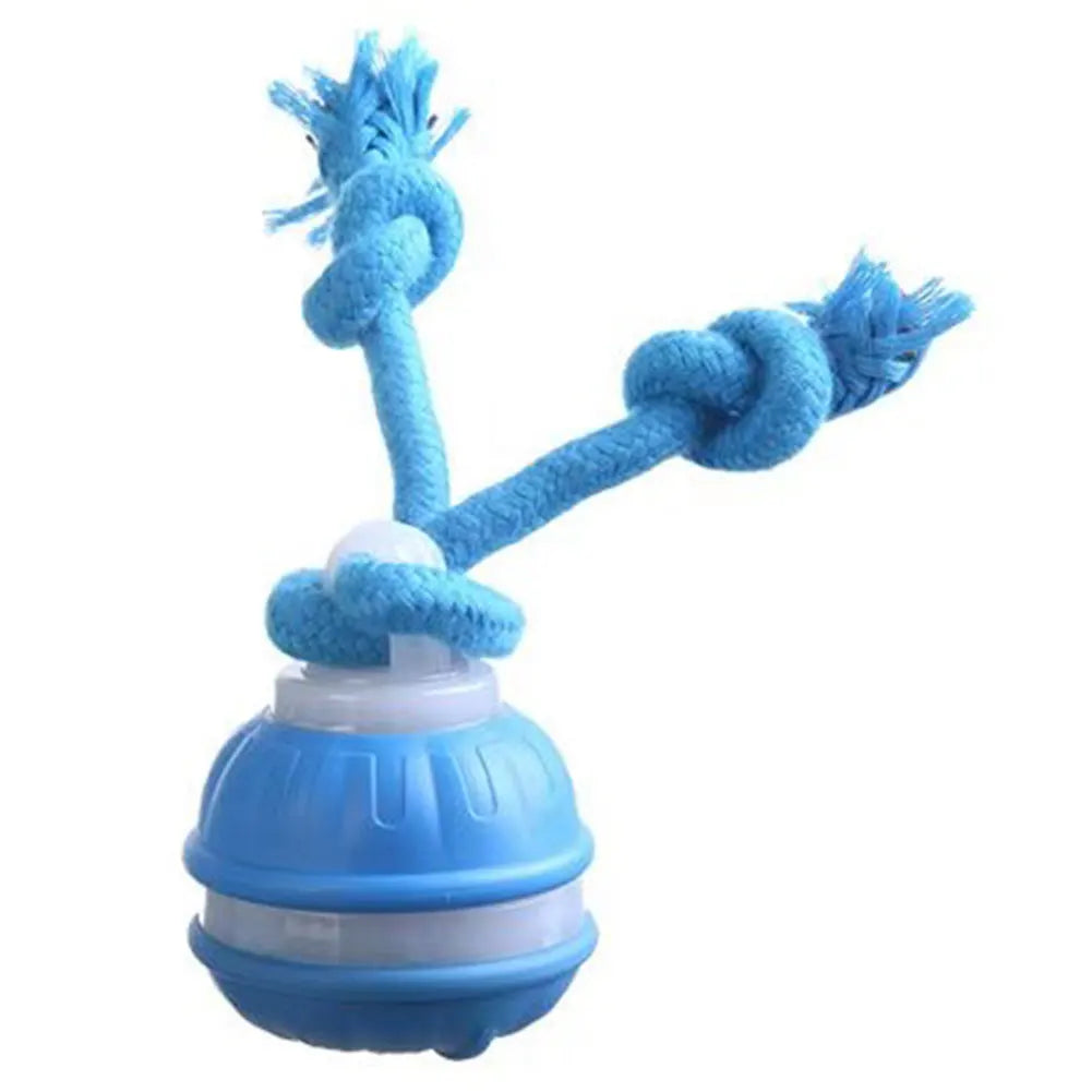Interactive Motion Rolling Ball for Dogs