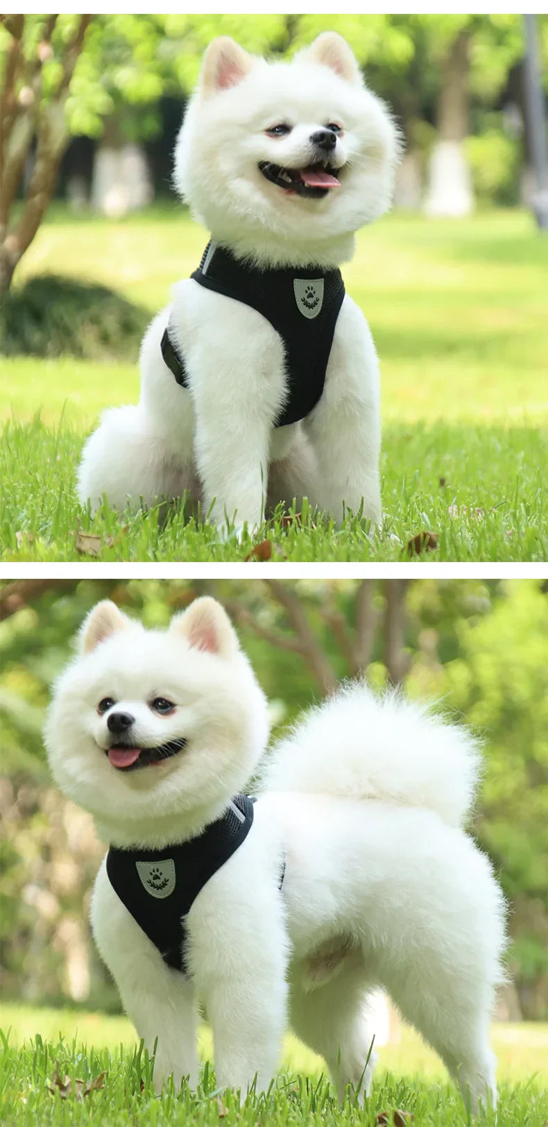 Dog Harnesses