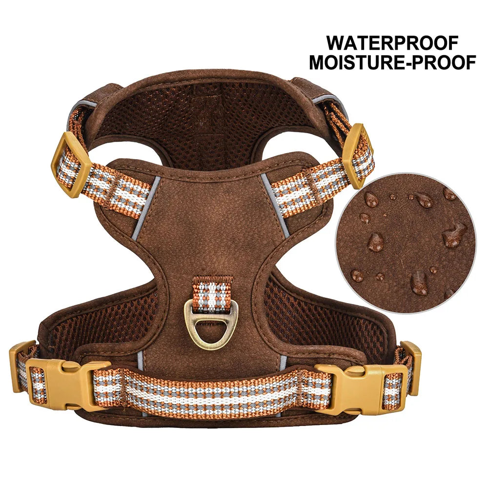 Dog Harness