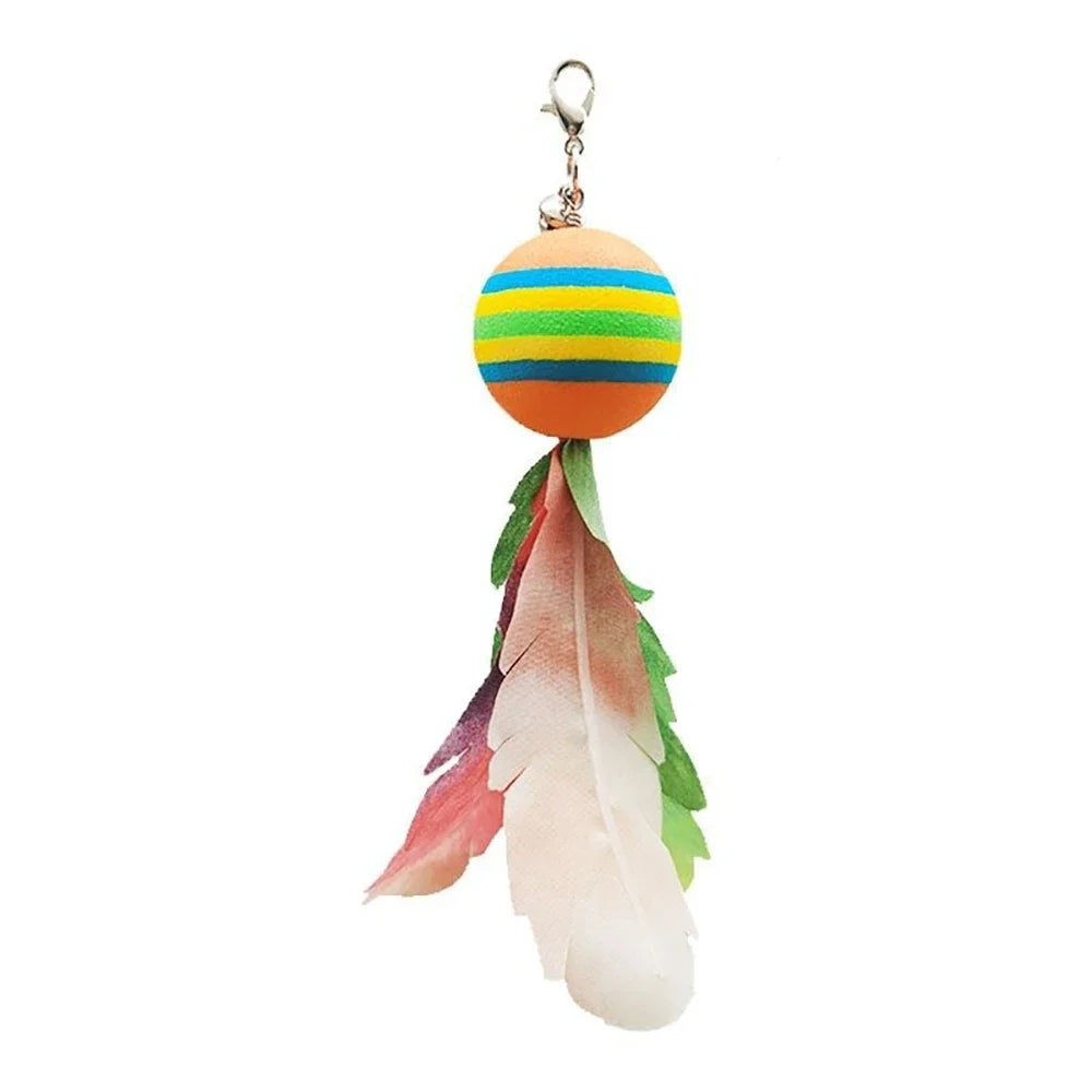 Cat Toys