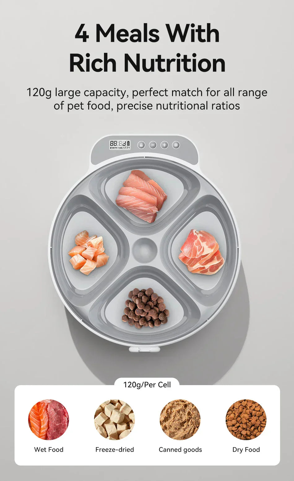 Food Dispenser For Cats