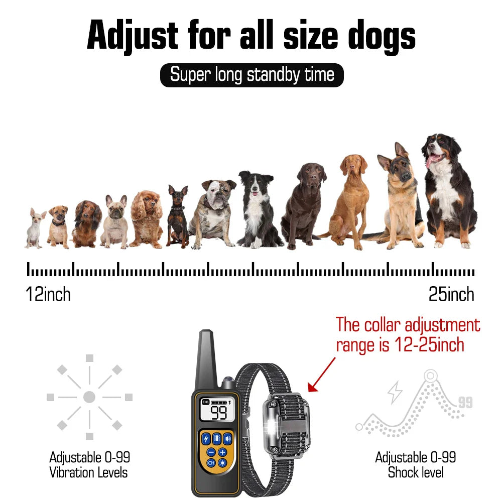 Dog Training Collar