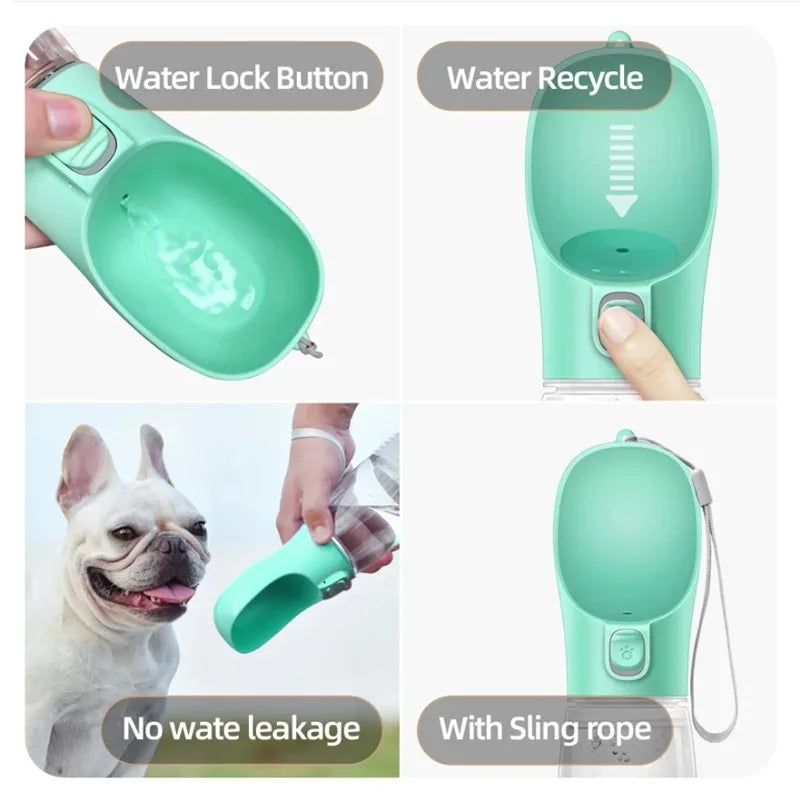 Dog Water Bottles
