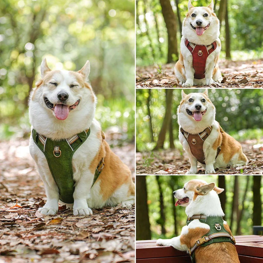 Dog Harness