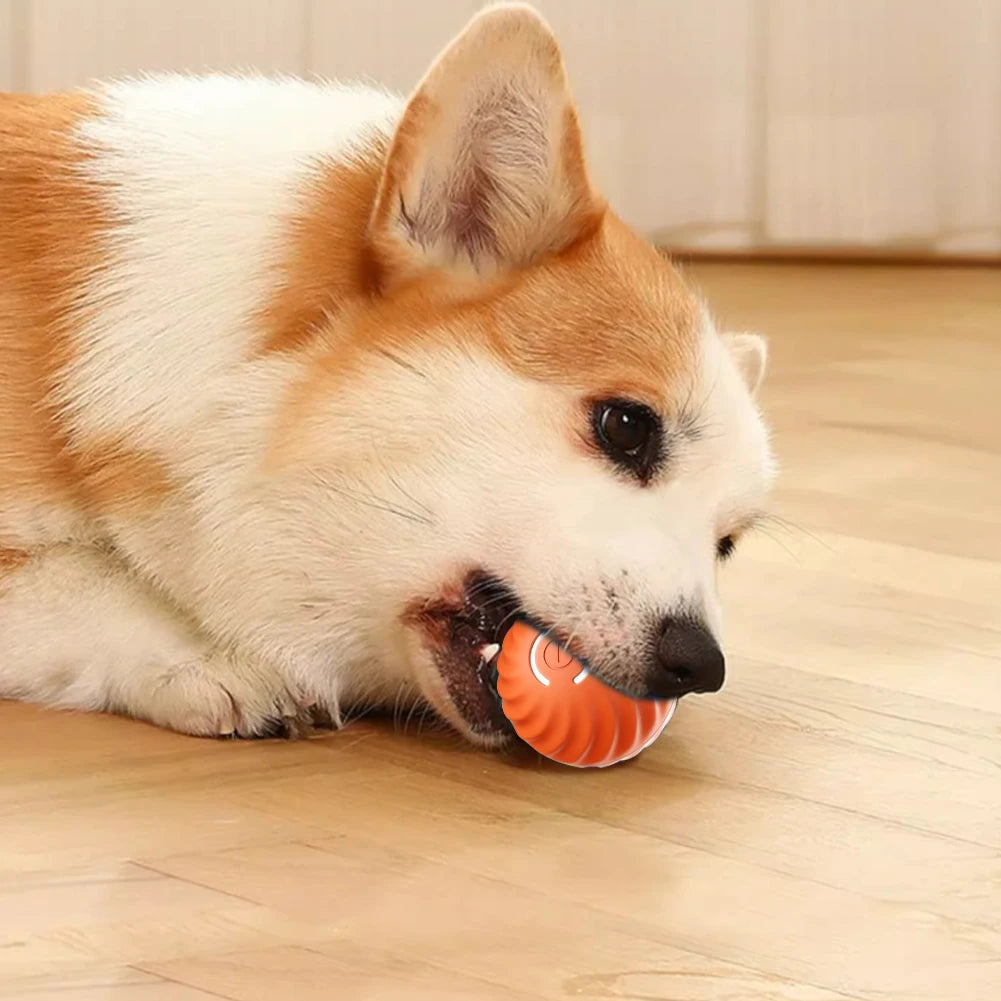 BounceBuddy™ Interactive Pet Ball