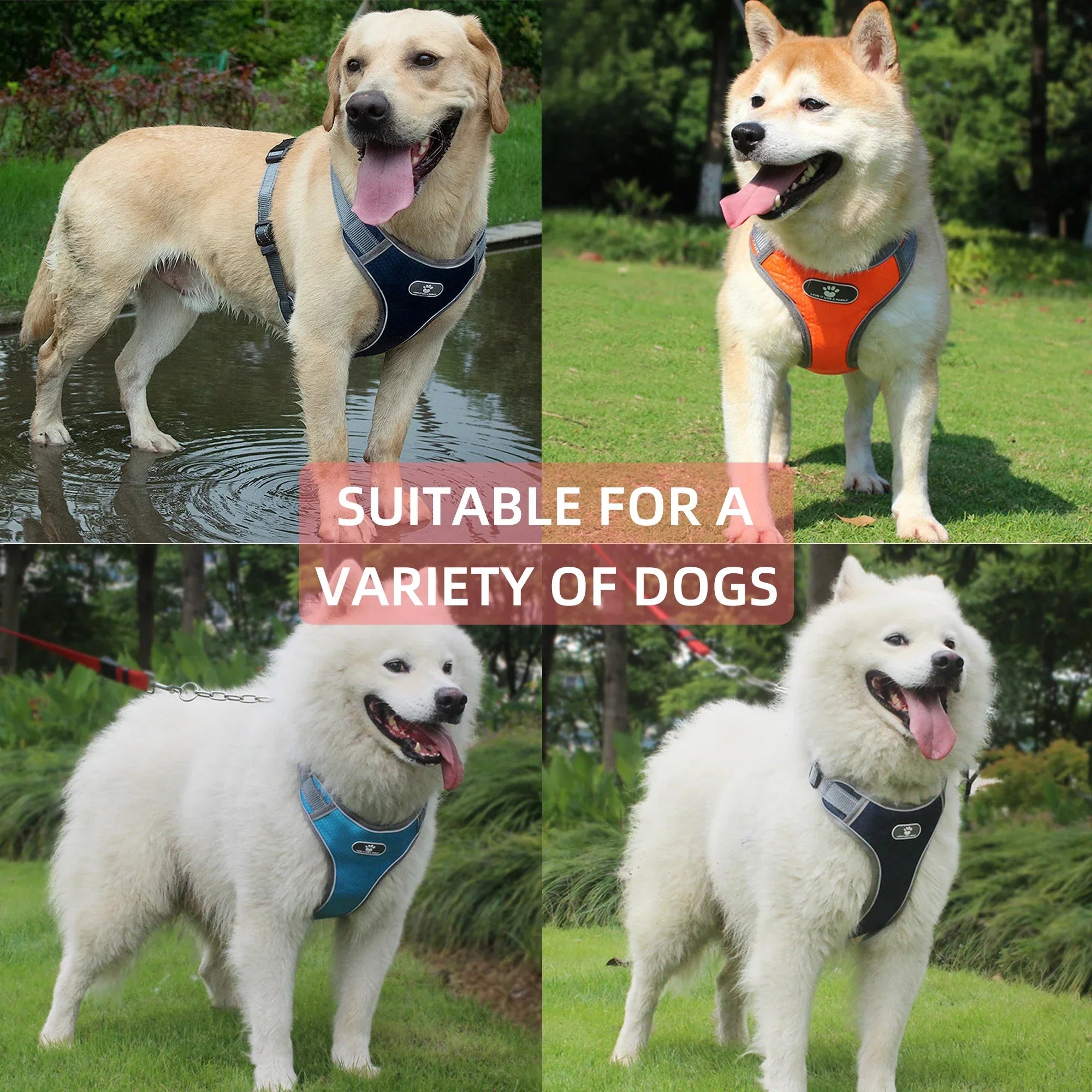 Dog Rainproof Harness Set