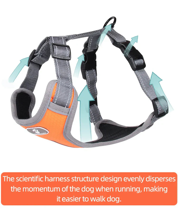 Dog Rainproof Harness Set