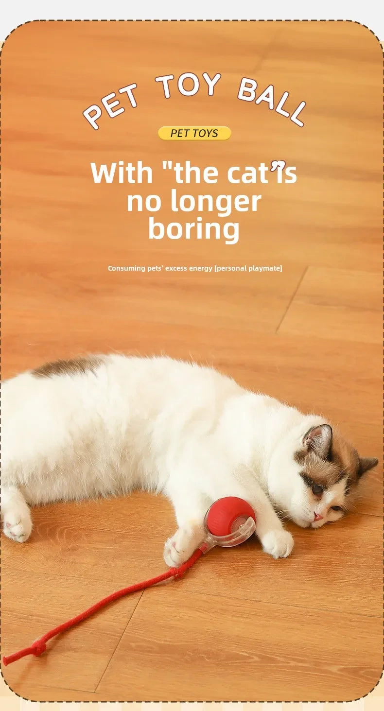 Intelligent Electric Cats Toys Rolling Ball