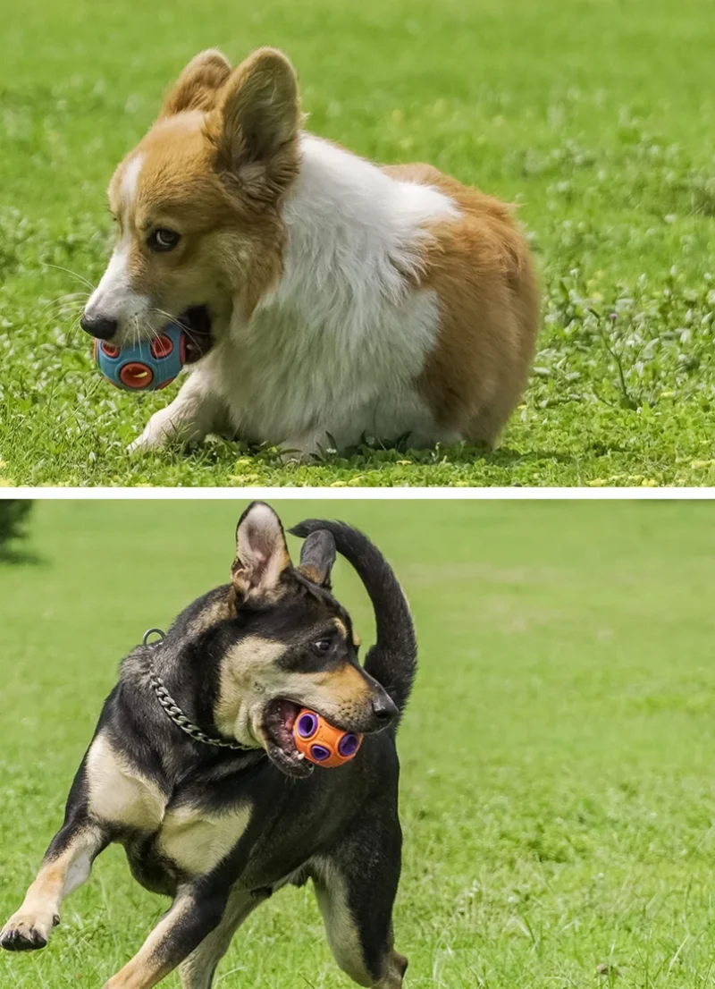 Interactive Dog Ball Toy – Sound & Treat Dispenser