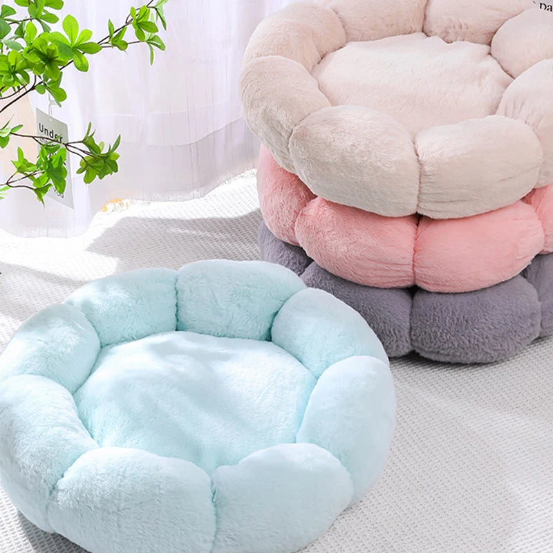 CozyBloom Pet Bed for Cats and Small Dogs
