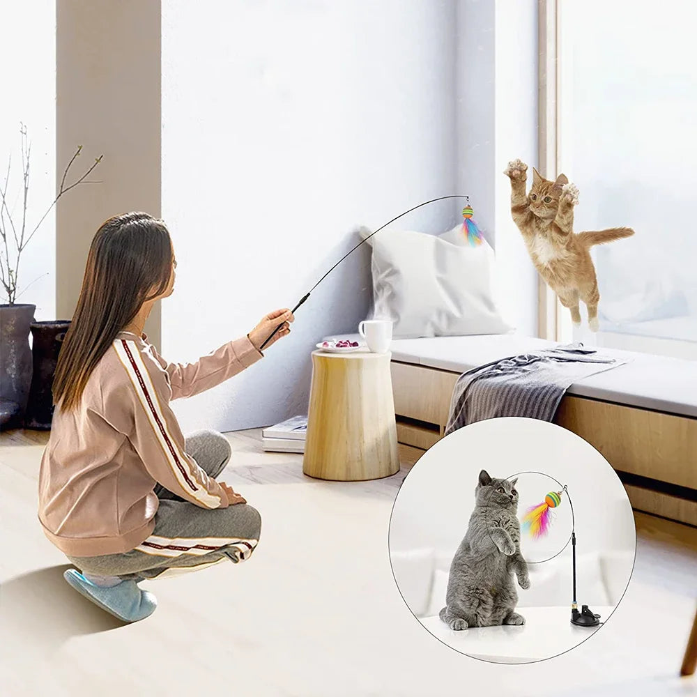 Cat Toys