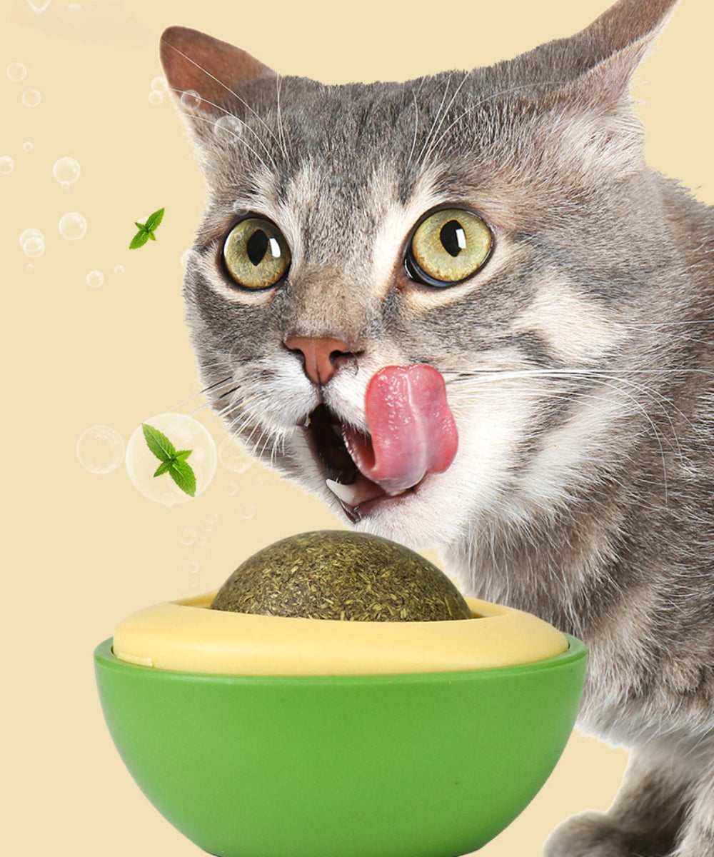Catnip Wall Ball – Rotatable Stick-On Toy