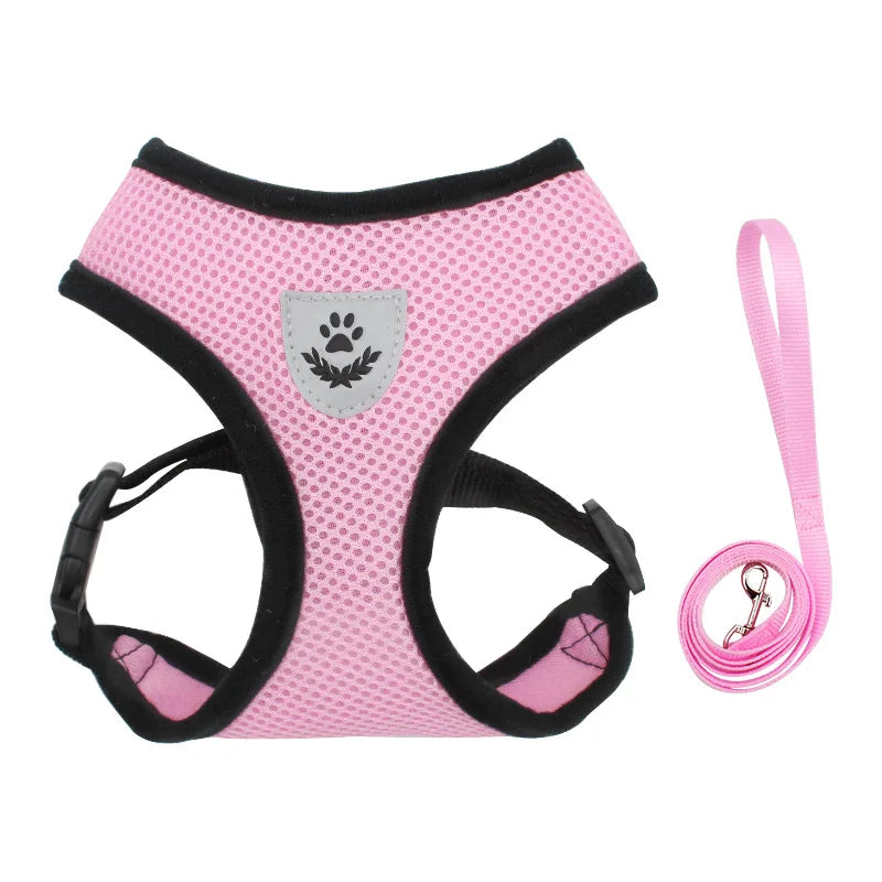Dog Harnesses