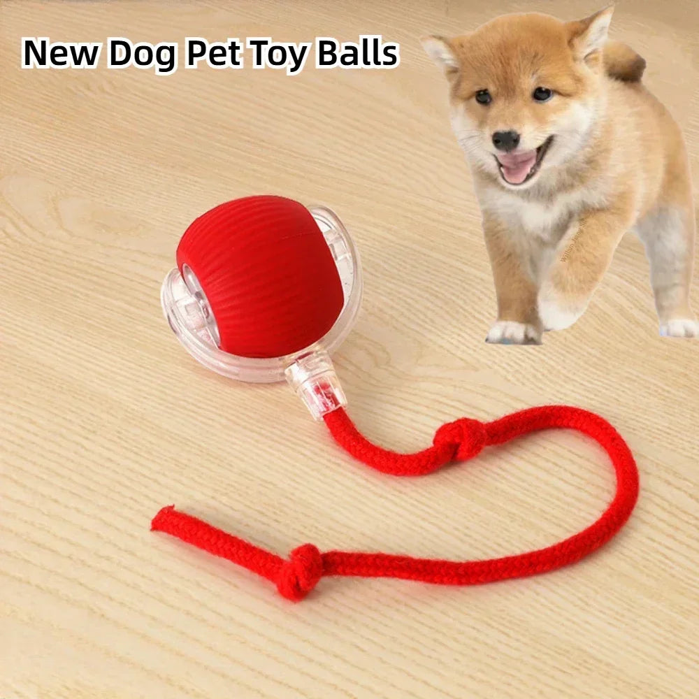 Intelligent Electric Cats Toys Rolling Ball