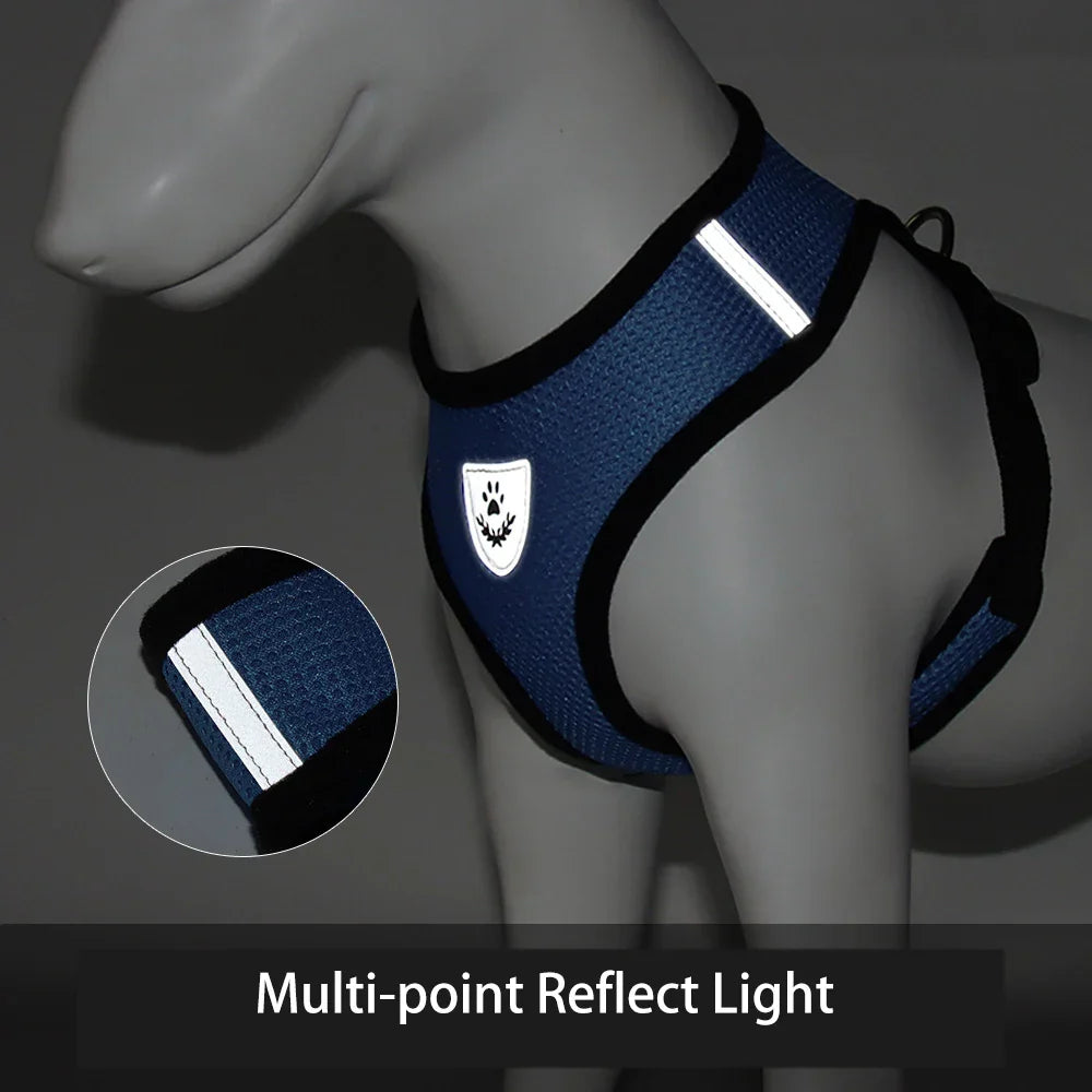 Dog Harnesses