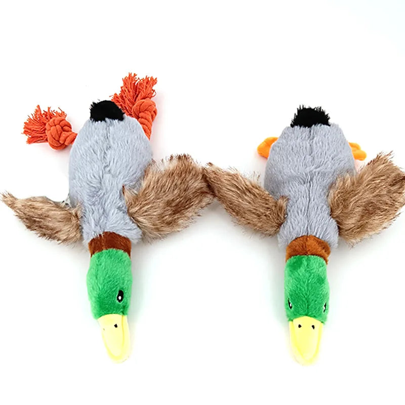 Plush Wild Duck Dog Toy with Squeaker