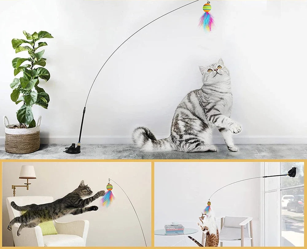 Cat Toys