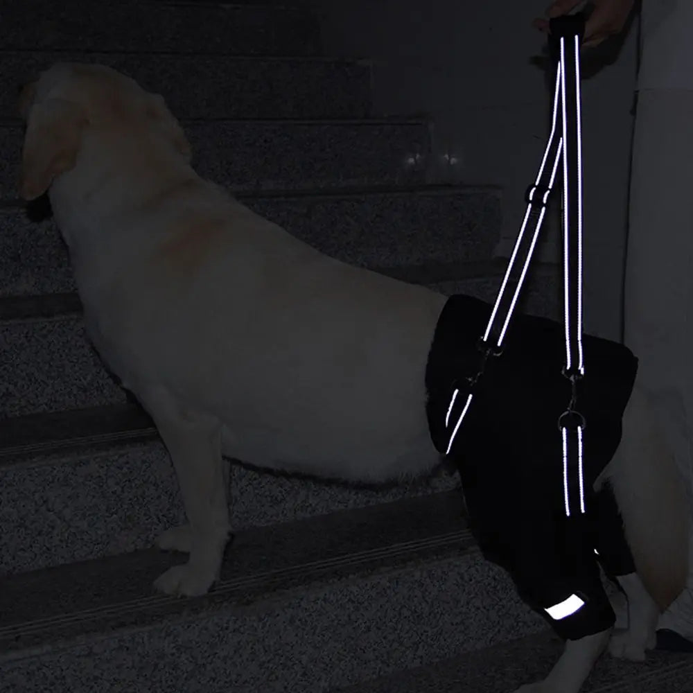 Dog Lift Harness – Rear Leg & Hip Support