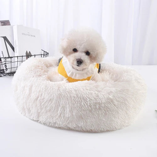 CozyPaws Super Soft Cat & Dog Bed