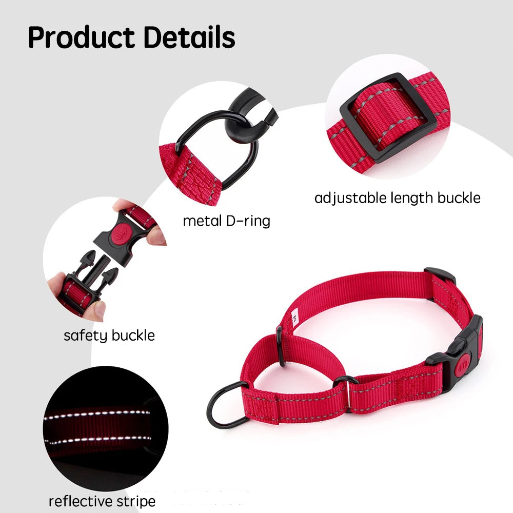 Adjustable Nylon Dog Collar with Safety Lock (2-in-1 Chain)
