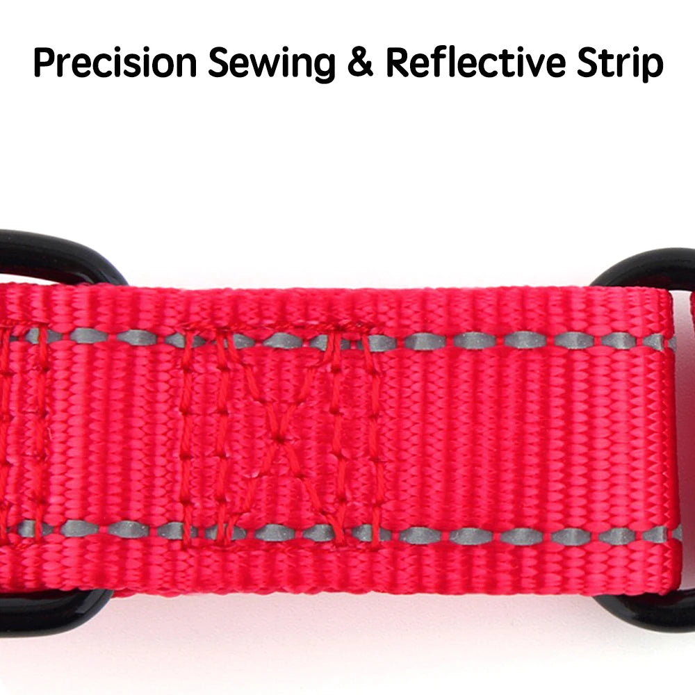 Adjustable Nylon Dog Collar with Safety Lock (2-in-1 Chain)