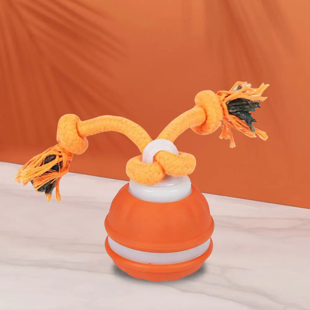 Interactive Motion Rolling Ball for Dogs