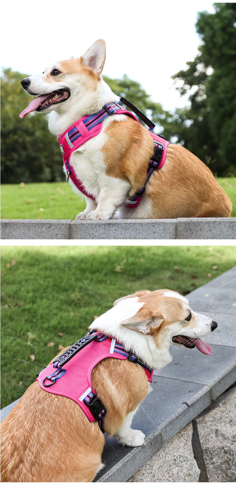 Travel Dog Harness & Lead