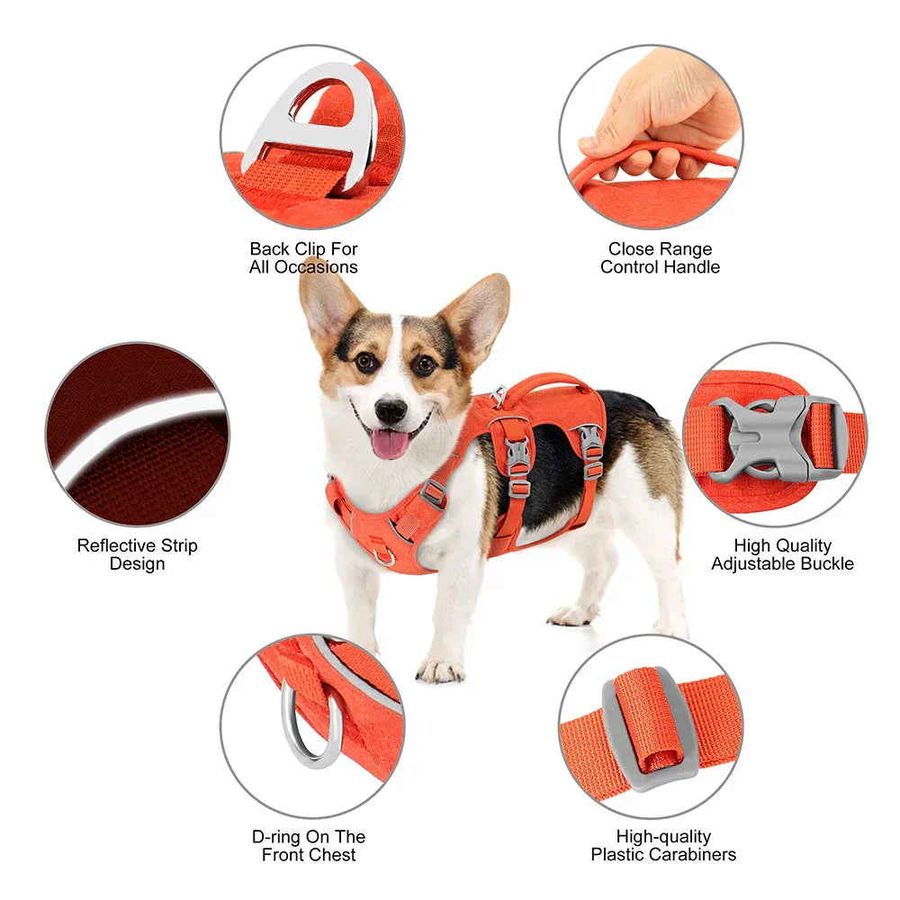 Bulldog Nylon Dog Harness