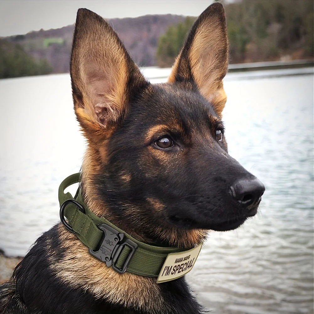 🐕 Tactical Dog Collar with Handle